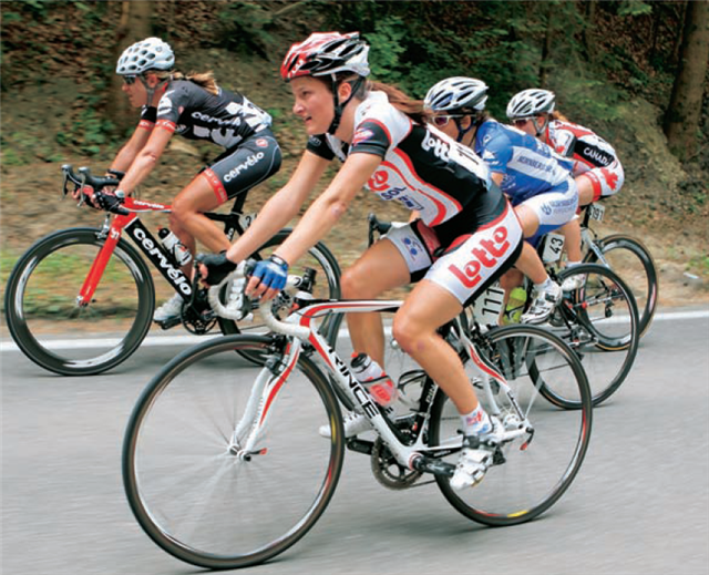 cycleingbikes (Small)