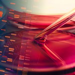 様々な影響 様々な影響